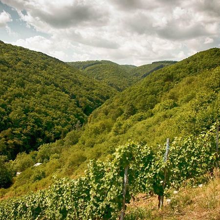 Ferienwohnungen Lithos Oberwesel Luaran gambar