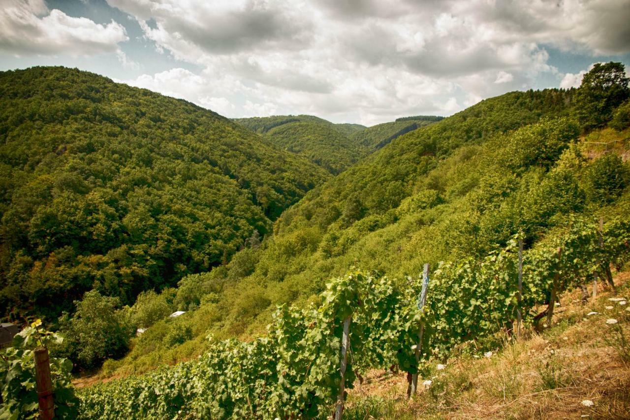 Ferienwohnungen Lithos Oberwesel Luaran gambar
