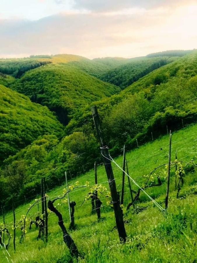 Ferienwohnungen Lithos Oberwesel Luaran gambar